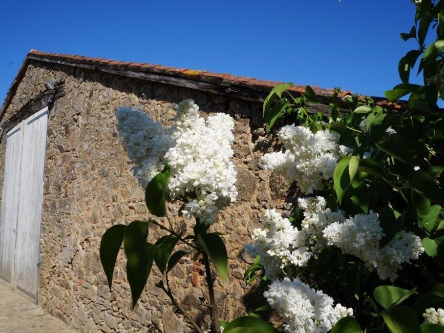 L'Escale Du Bocage Piscine Couverte Chauffee La Flocellière Εξωτερικό φωτογραφία